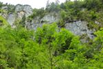 2014-07-05_Laengental-N-Hochweg (402). JPG